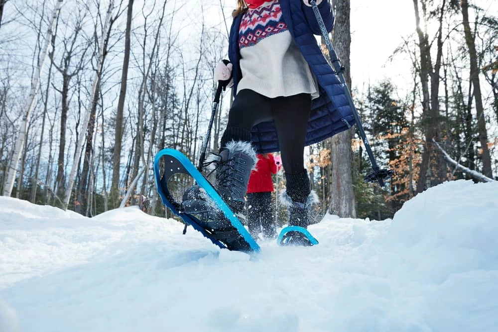 Woods Carbon Ultra-Light Collapsible Adjustable Trekking Poles For Hiking & Walking 8 Woods Carbon Ultra-Light Collapsible Adjustable Trekking Poles For Hiking & Walking - Image 6