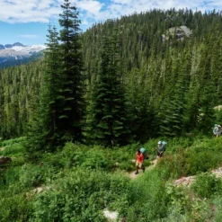 Woods Chilkoot Lightweight Water-Resistant Backpack For Hiking/Camping/Travel, 70-L -Woods Sales Store woods chilkoot 40l 63db9af5 19fa 4558 a318 cd77943afce0 2