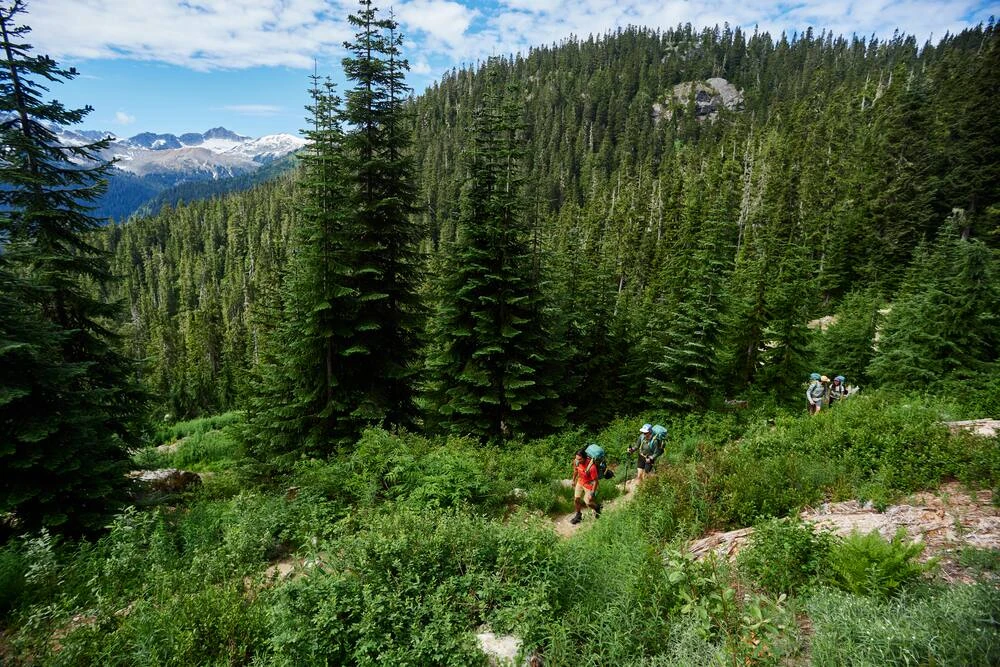 Woods Chilkoot Lightweight Water-Resistant Backpack For Hiking/Camping/Travel, 40-L 13 Woods Chilkoot Lightweight Water-Resistant Backpack For Hiking/Camping/Travel, 40-L - Image 11