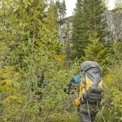 Woods Expedition Peak Lightweight Water-Resistant Backpack For Hiking/Camping/Travel, 60-L -Woods Sales Store woods expedition peak backpack 60l 18afde8e 05e5 4be9 99ac 4241e8ee8496