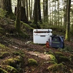 Woods™ Soft Cooler Tote, 36 Can Capacity, 41.4-L, Grey -Woods Sales Store woods expedition series soft cooler tote 036fd6ee 2ebb 46c0 8e7a b39c20bff218